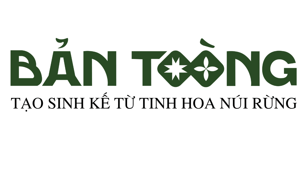 Bản Toòng